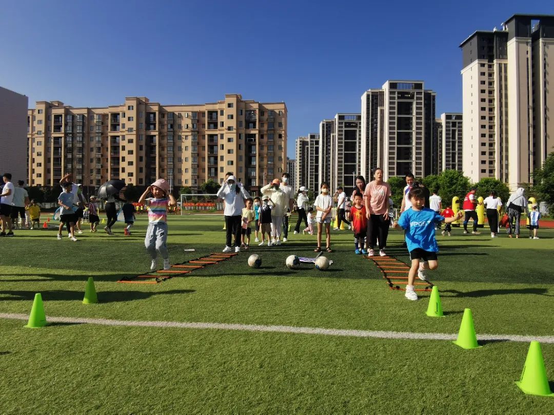 派迪茵体育产品,派迪茵体育直播