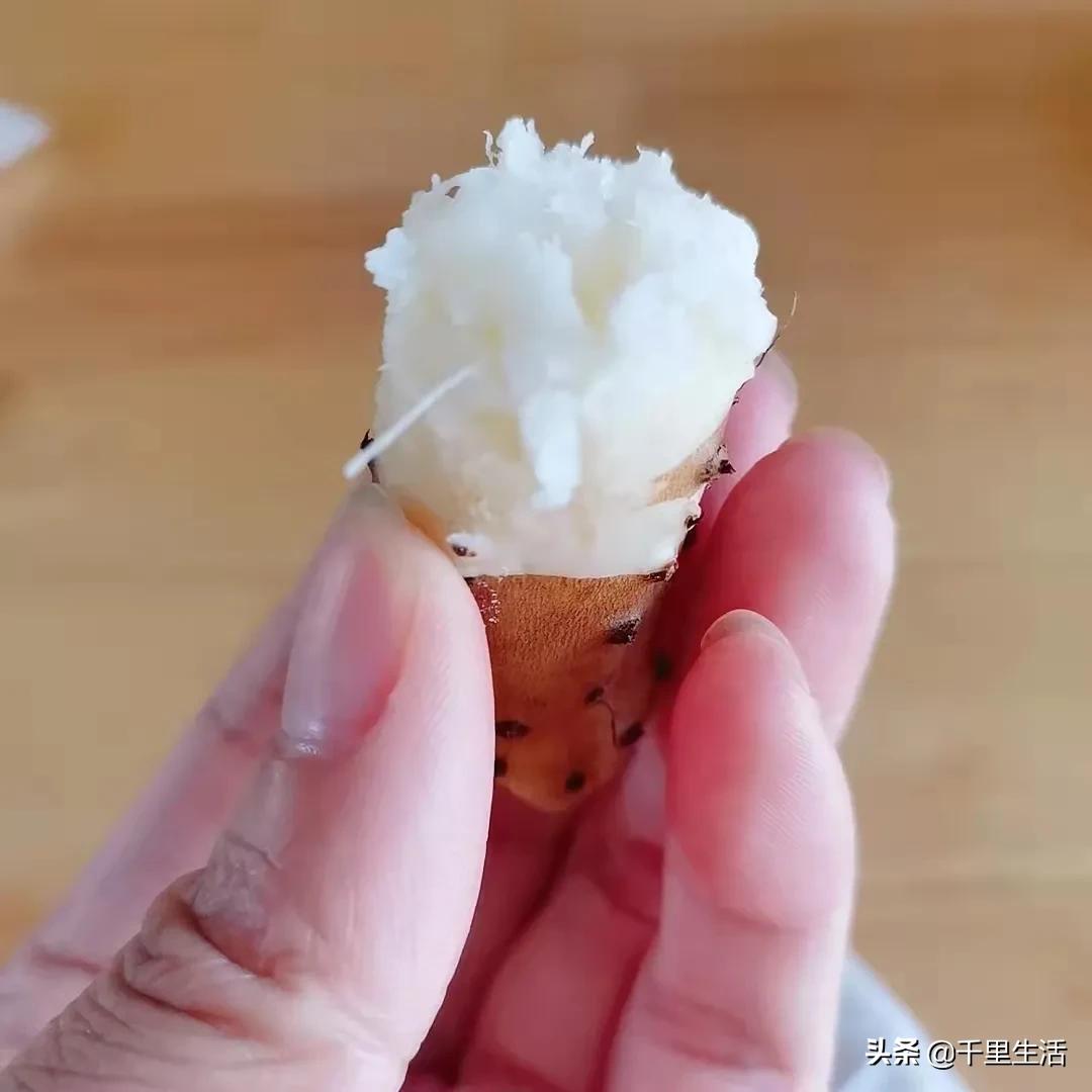 河北小白嘴山药多少钱一斤,新鲜品质正宗小白嘴山药