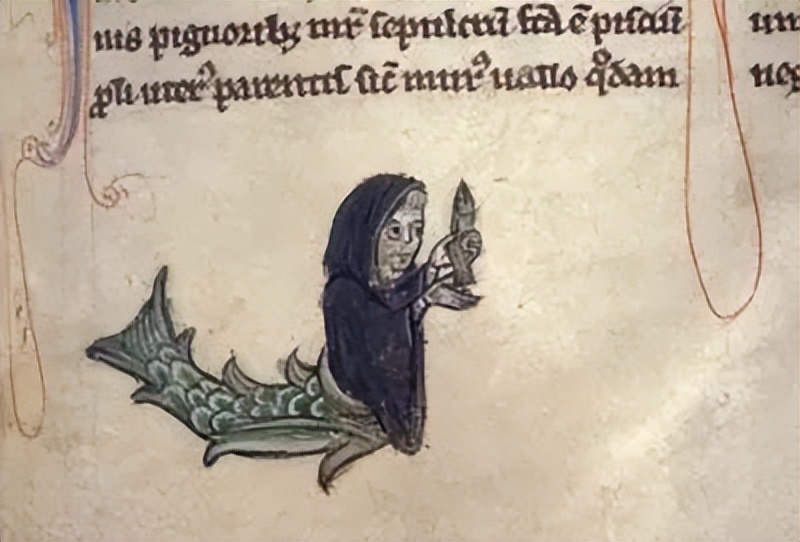 人鱼是怎样变成美人鱼的,丑人鱼变美长什么样子