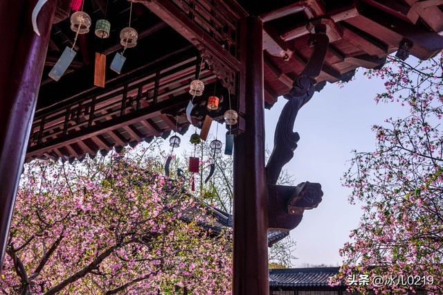 有一种美好叫做清新的夏天,夏天永远是一个充满心动的季节