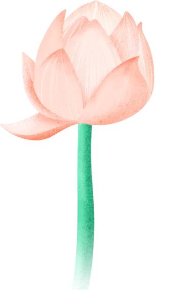 上海tiffany蓝打卡,上海tiffany蓝玫瑰