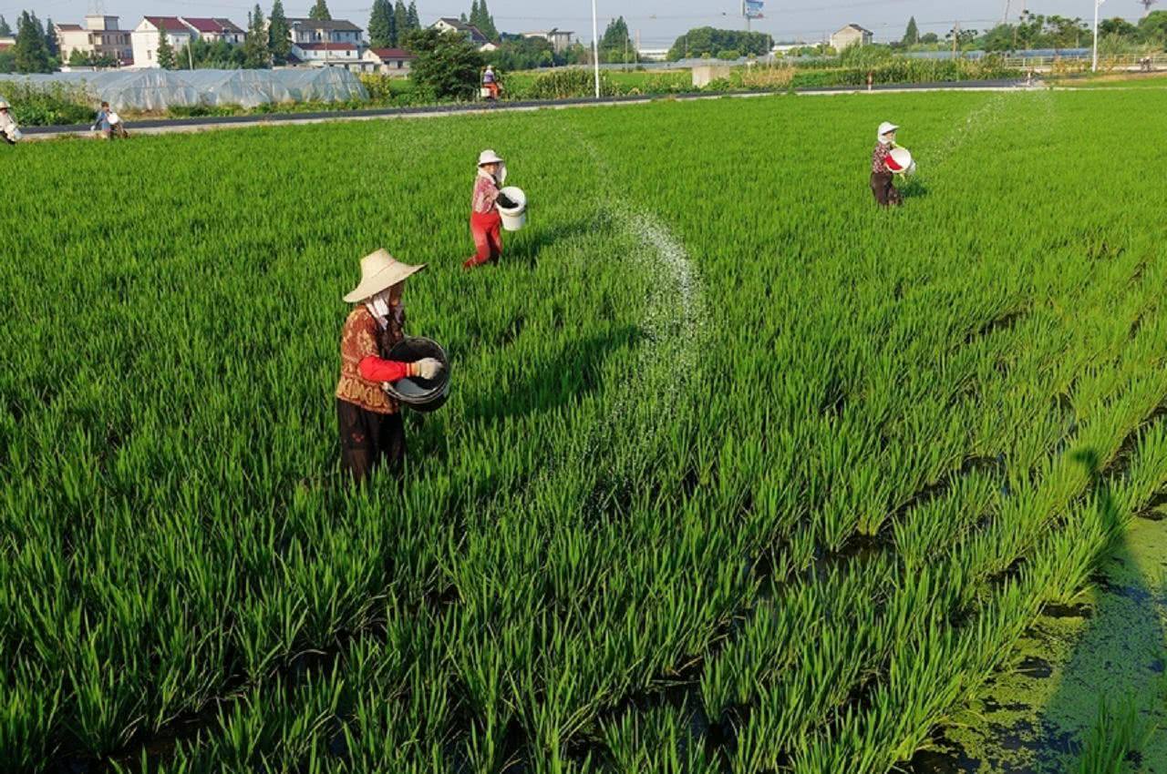 现在农民打工好还是在家种地好,回农村种地能赚钱吗