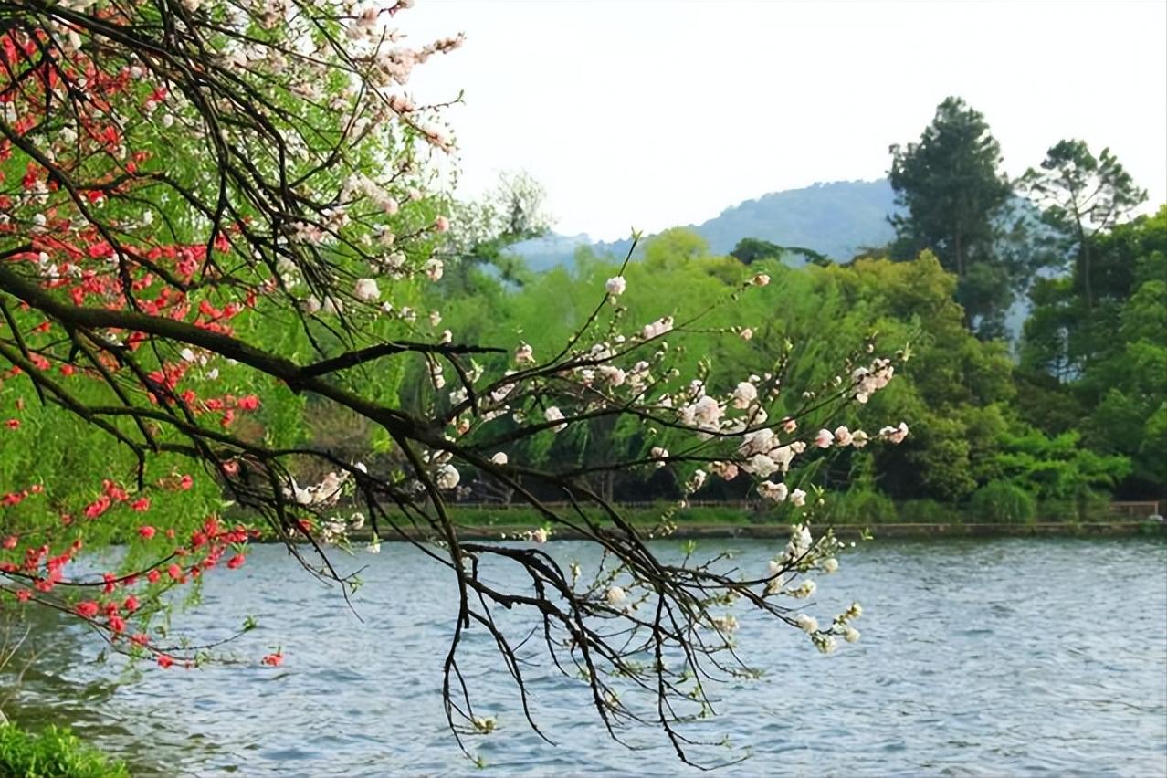 描写春天的古诗宋词有哪些,唐诗宋词鉴赏春天的美景有哪些