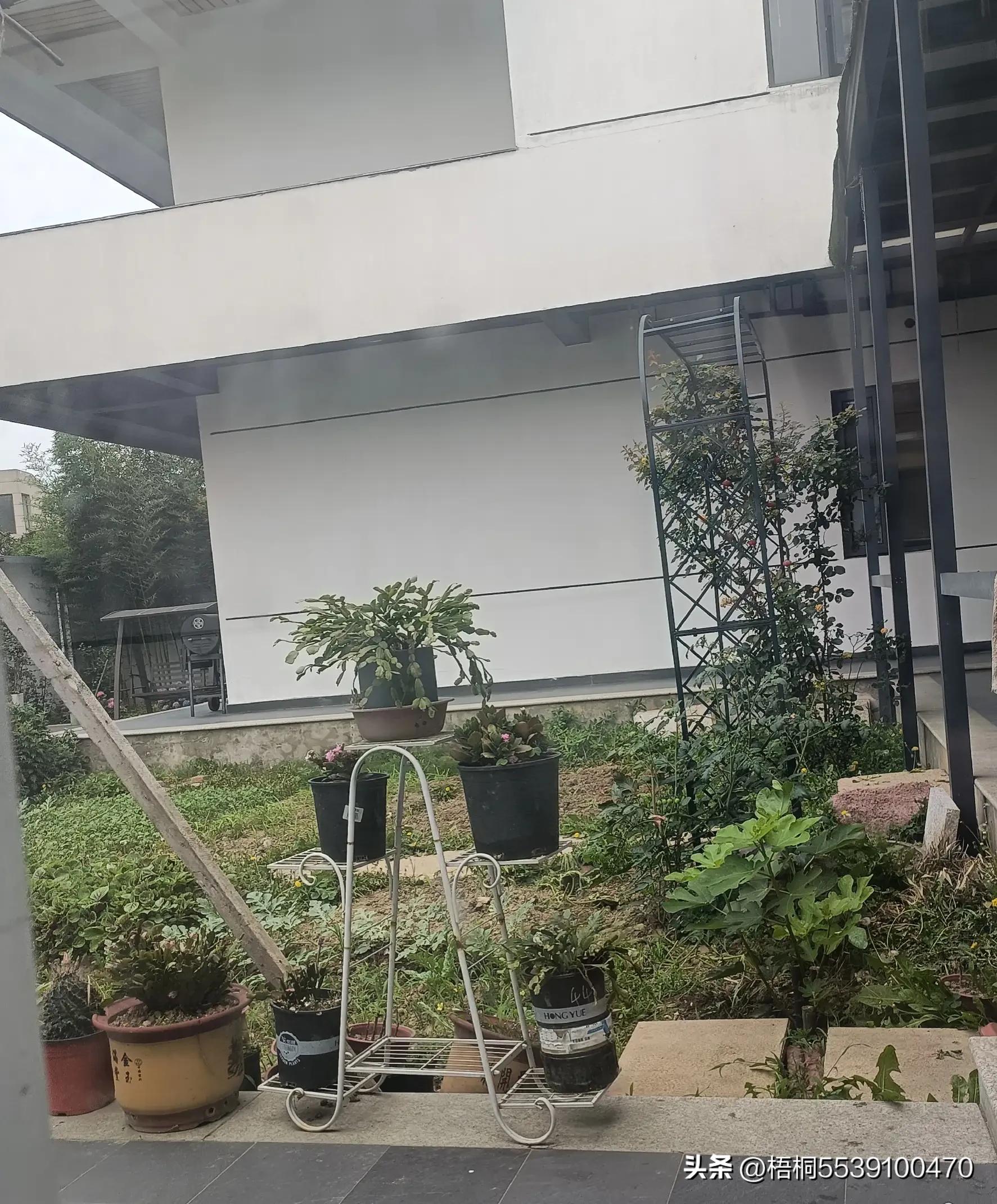 苏州洞庭西山有什么好玩的,苏州太湖东山还是西山好玩