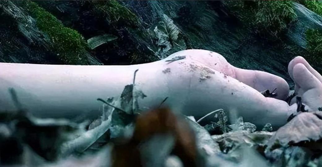 赤裸女子惨死菜地，*体下**被塞满杂草，警方靠一个米糠袋锁定真凶