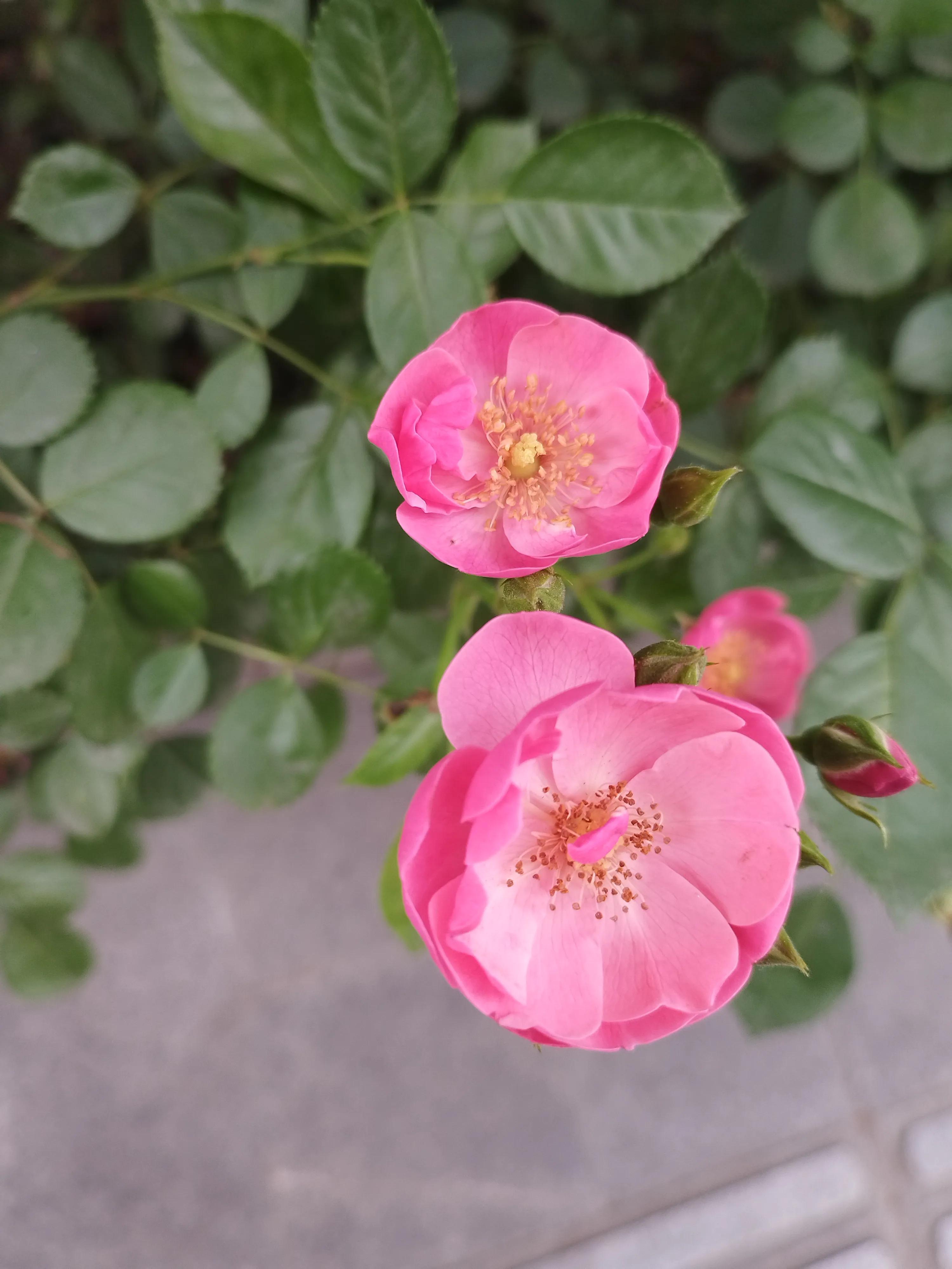 照顾病人真的没有耐心,照顾病人真的不容易