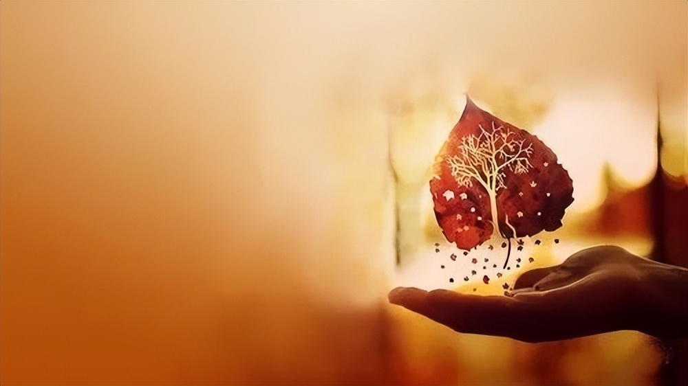 36岁，未婚怀孕5个月，男朋友却不想结婚：我该怎么办？