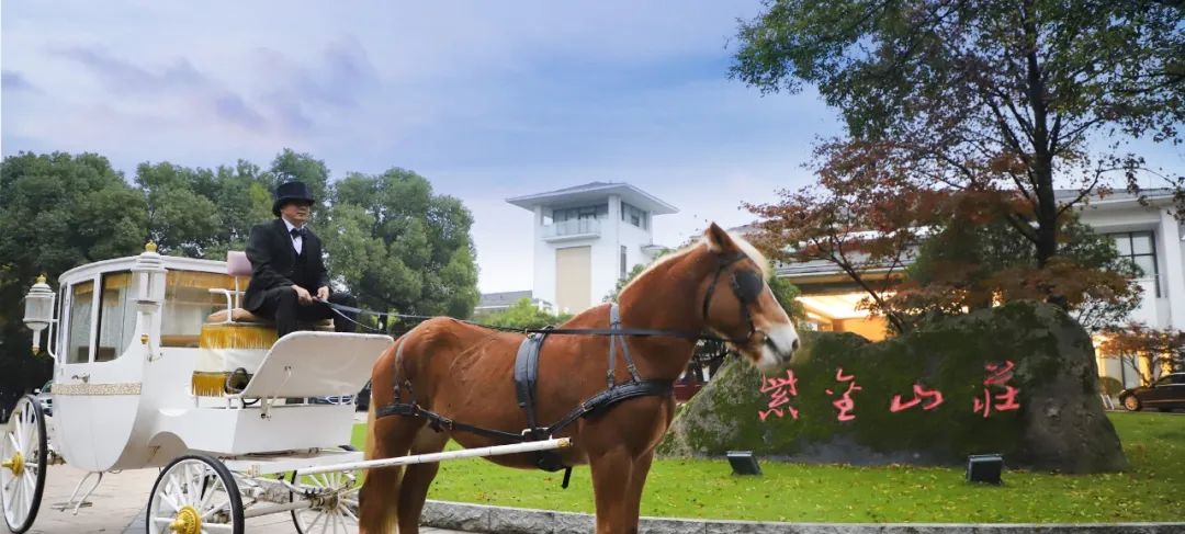 南京好一点的观景房酒店,南京紫金山庄园酒店