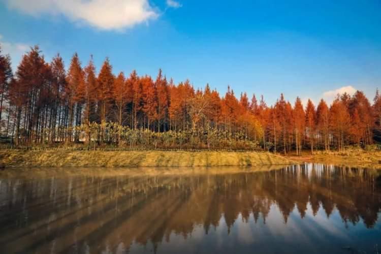上海宝山的徒步路线图,此生必打卡的山跟徒步路线