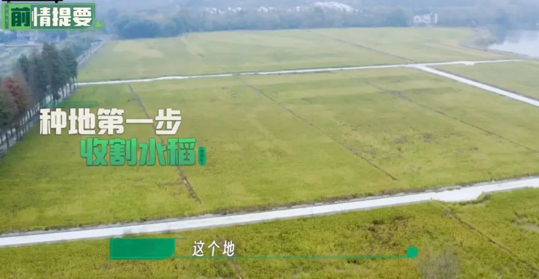 养猪养狗种田真人秀,真人秀十个男生种田