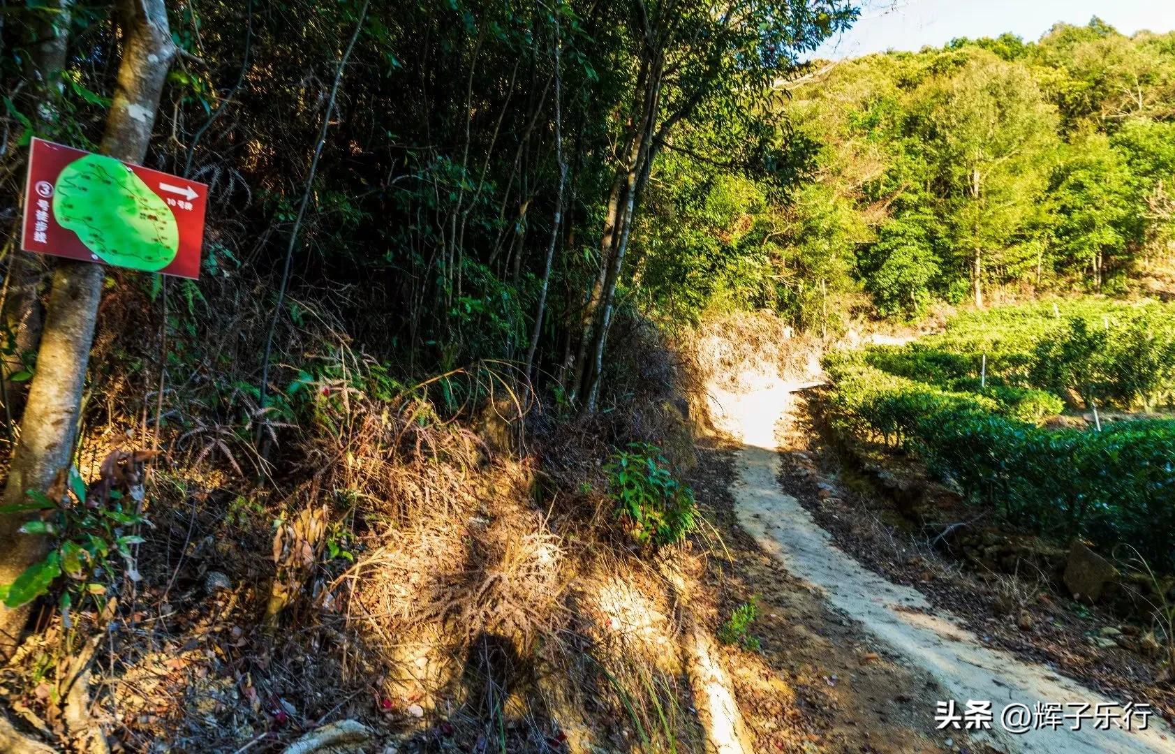 广东潮州凤凰海棠花谷，风光旖旎，3条绝美徒步线路值得一走