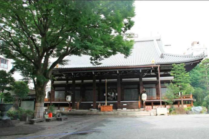 老齐说故事视频大全,老齐说评书