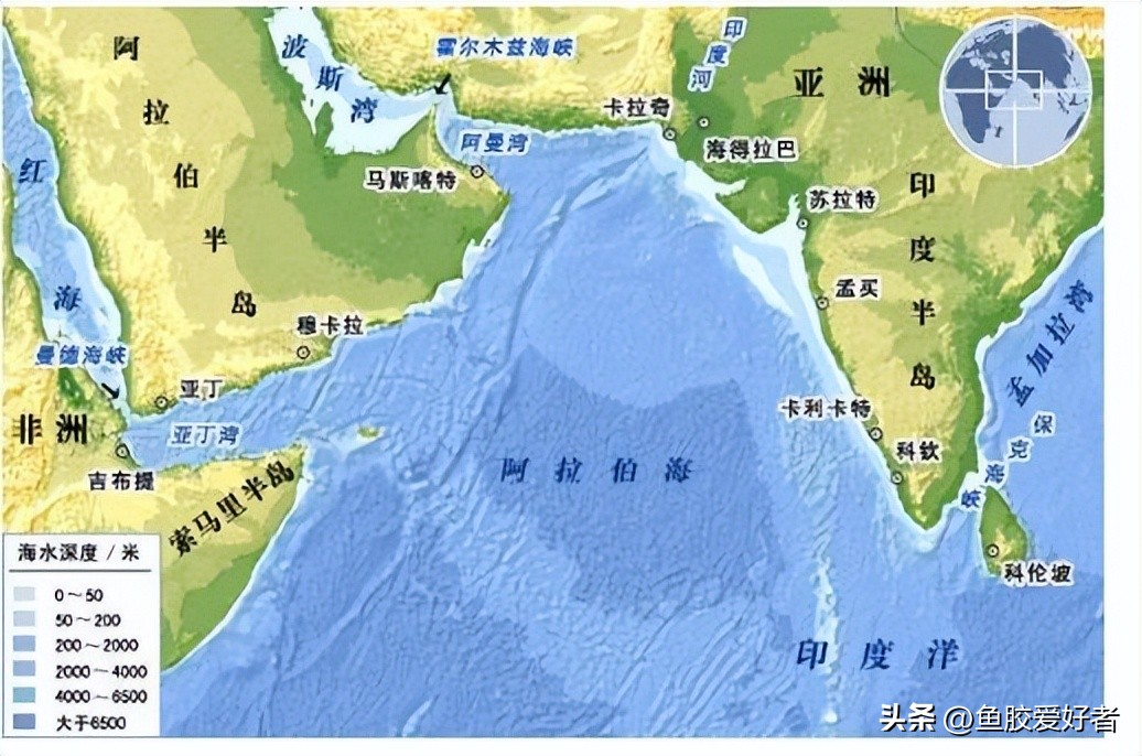 鱼胶哪个产地的最好,鱼胶最好的出产地在哪里