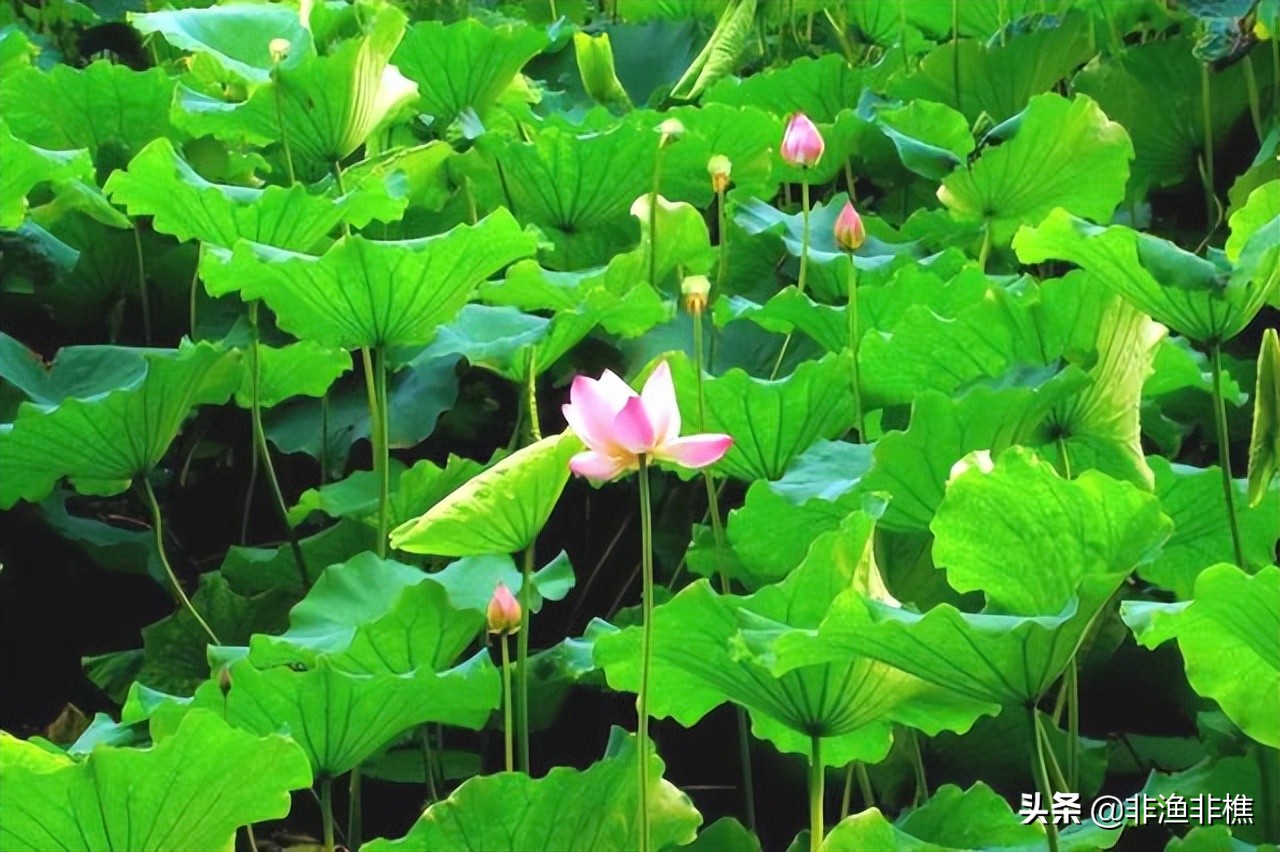 不管和谁交往都要留一个心眼,什么才是正确的交朋友的方法