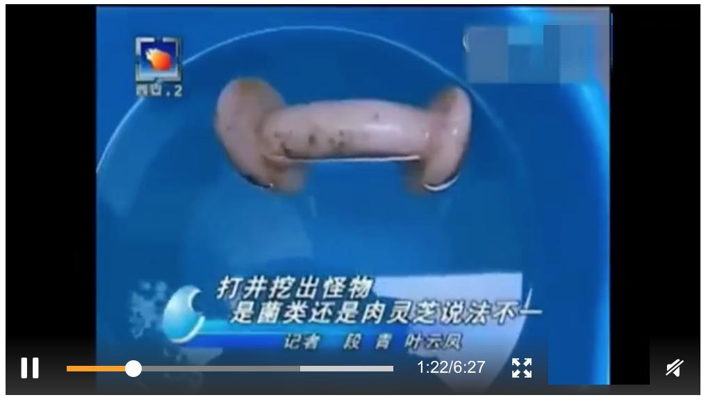 太岁到底是什么生物有多可怕,真正的野生太岁发现多少