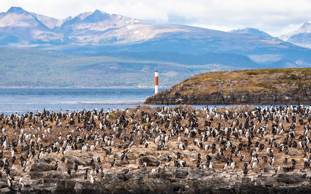 阿根廷南美洲国家,足球强国阿根廷