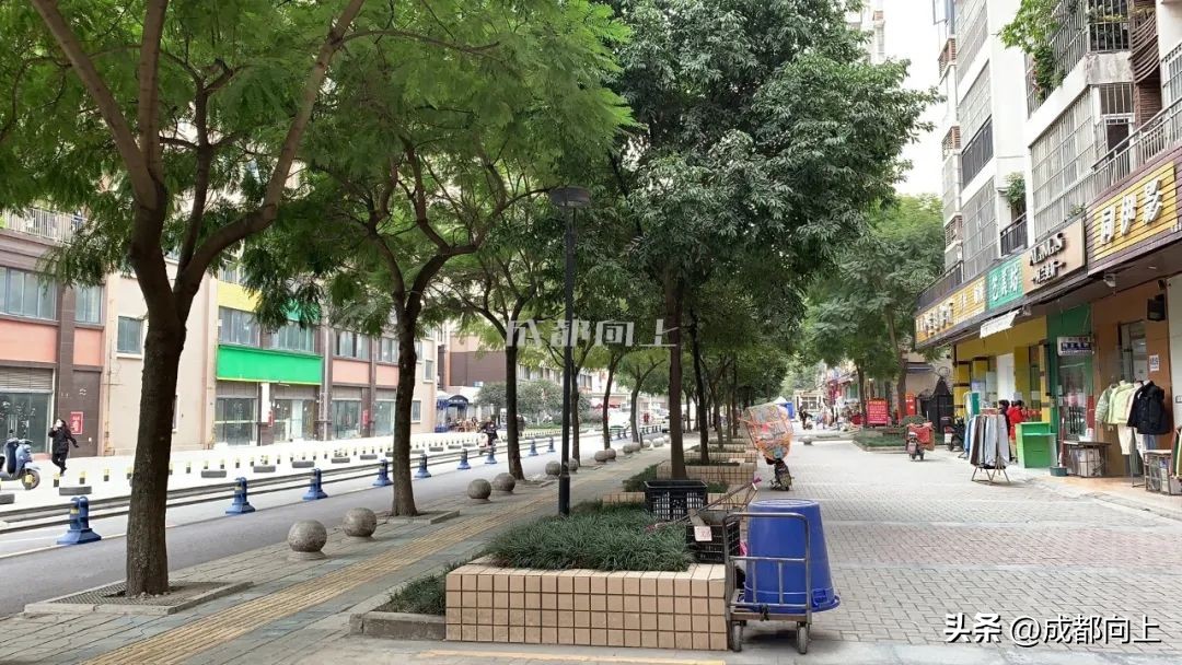 马家寺交通拥堵,双流马家寺现状