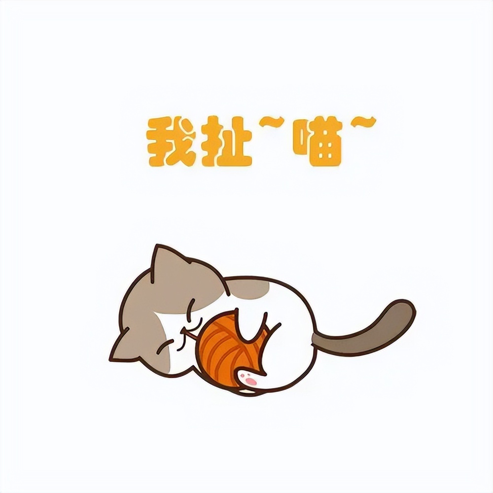 猫咪绝育完要买什么药,猫咪绝育需要知道的哪些事