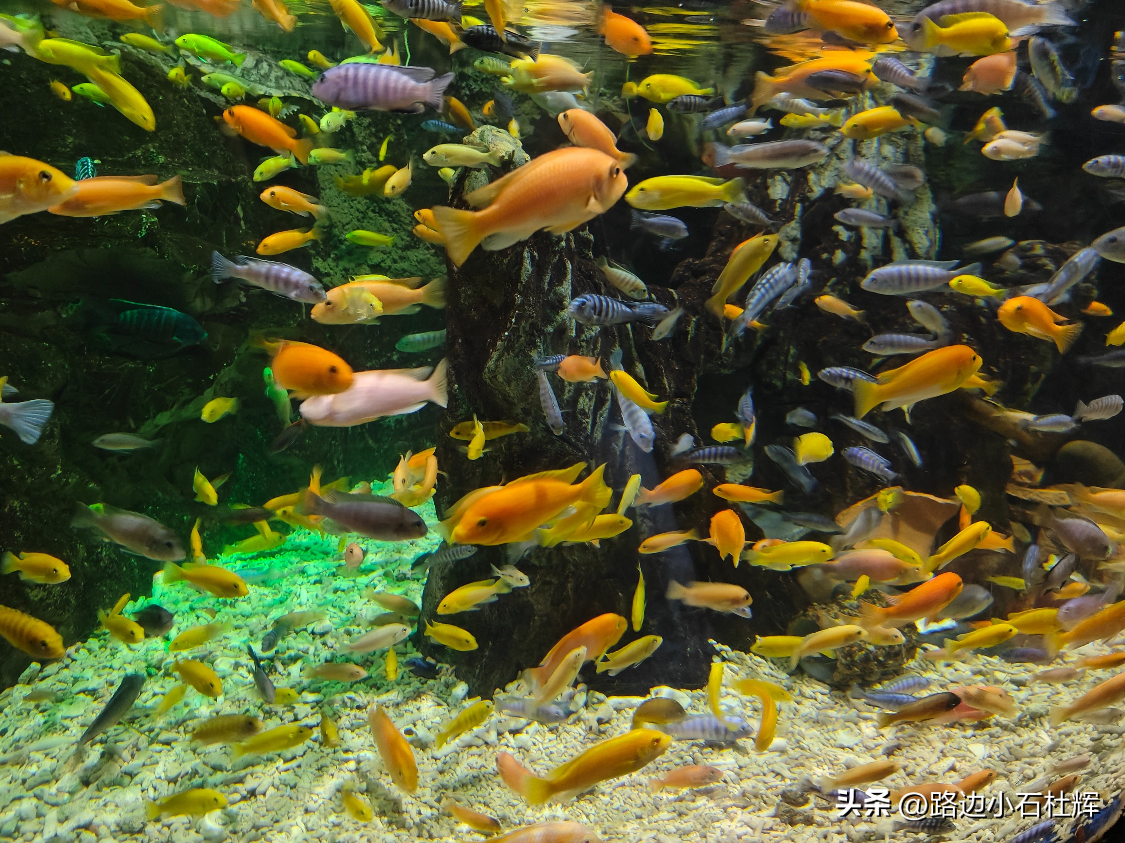 游游人间,游旅人间