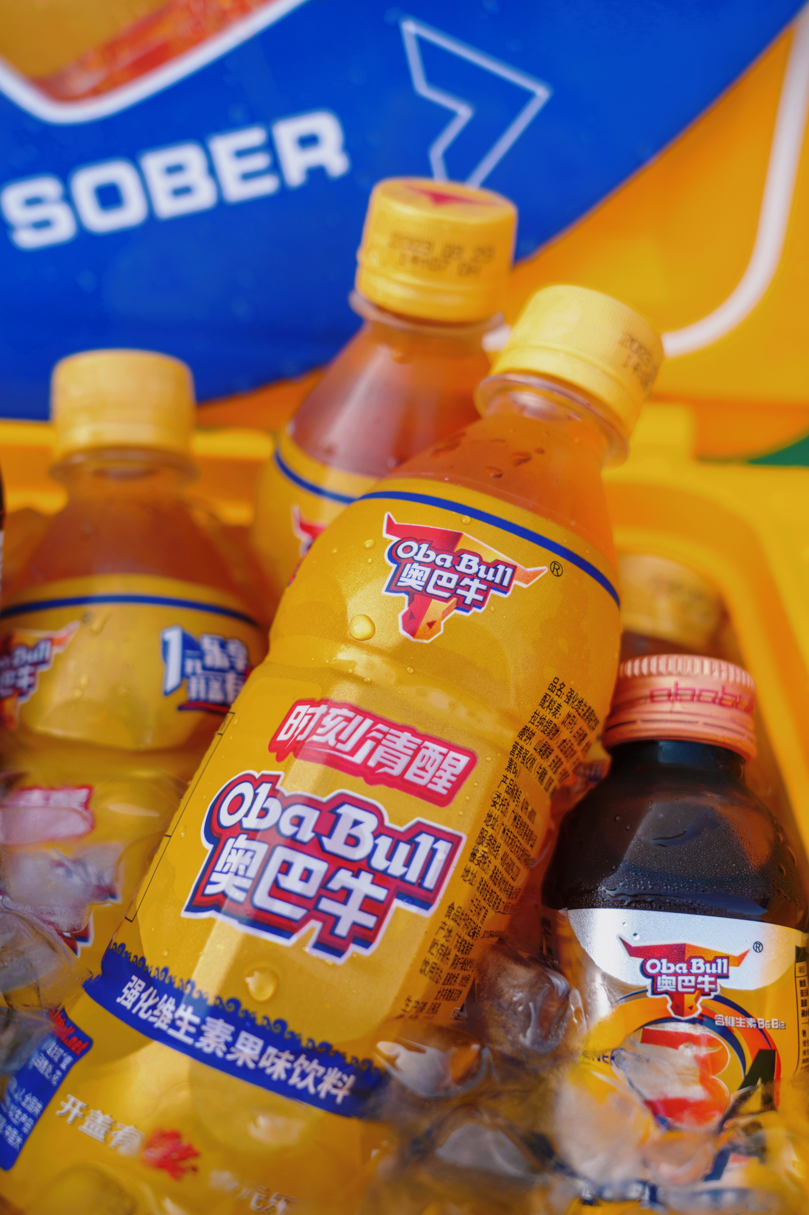 时刻清醒奥巴牛现身水母音乐会玩“快闪”