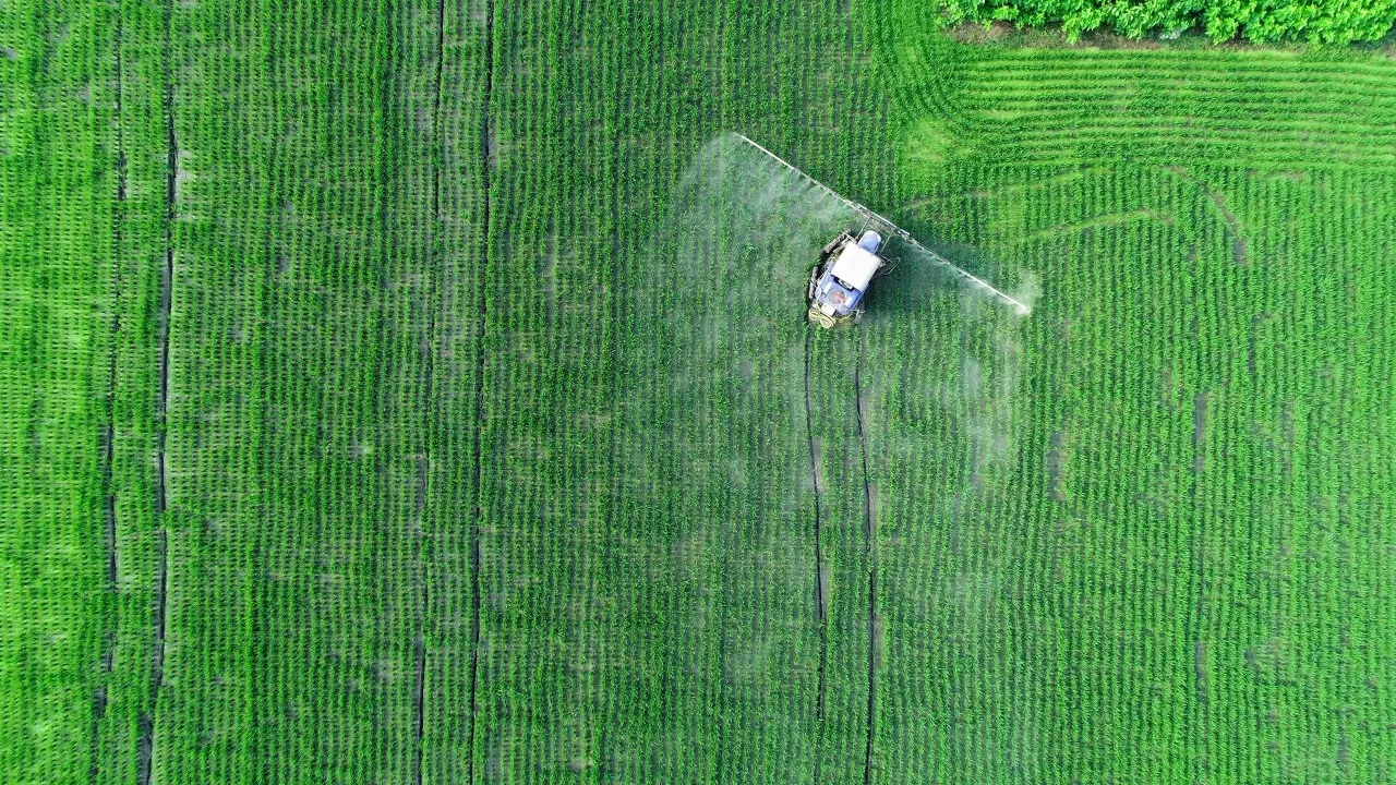 记住在哪里跌倒就要在哪里爬起来,在哪里跌倒就要在哪里再跌倒一次
