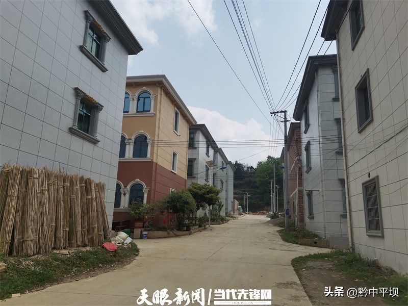 一根葱，“万元田”充值“亿元财”！平坝区天龙镇二官村敢为人先的大葱产业致富经