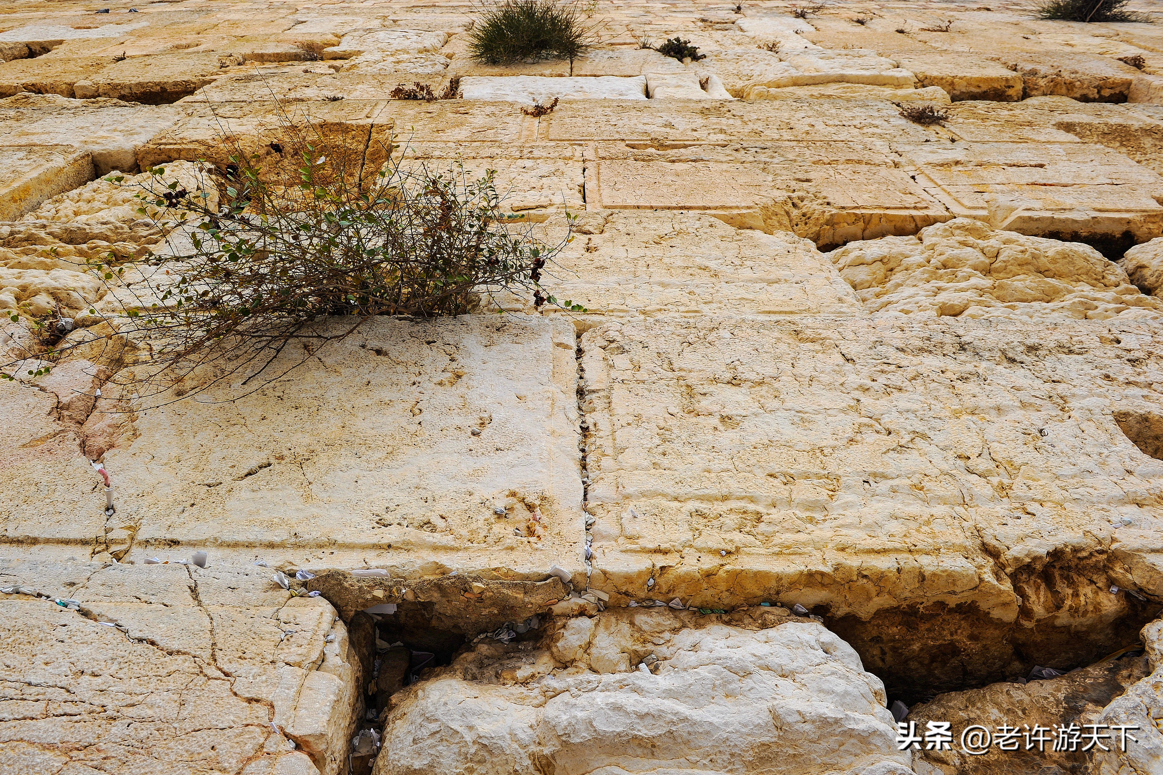 以色列世界三大朝圣圣地,以色列朝圣之旅视频