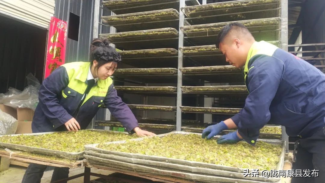 三抓三促春季造林,三抓三促农业