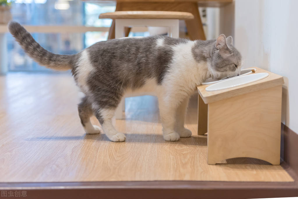 进口猫粮包装没有溯源码标签,猫粮防伪标能造假吗