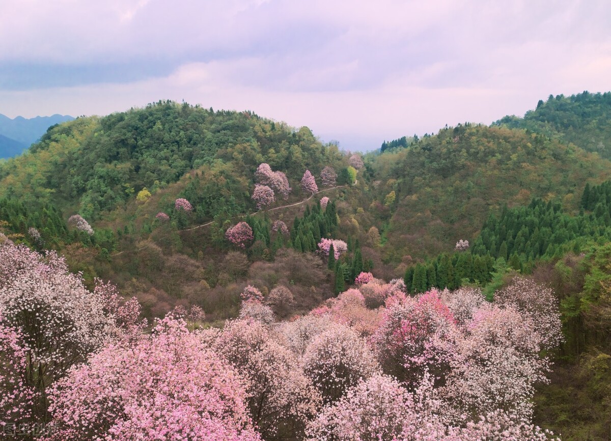 李白的诗为什么有仙气,诗仙李白的明显特色