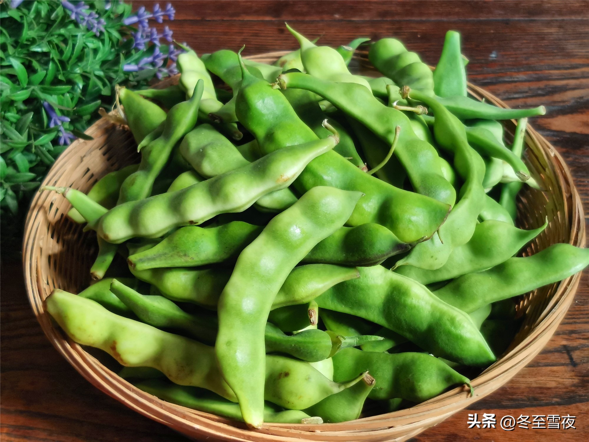秋季豆角怎样保存到冬天还可以吃,秋天遇到此菜别错过