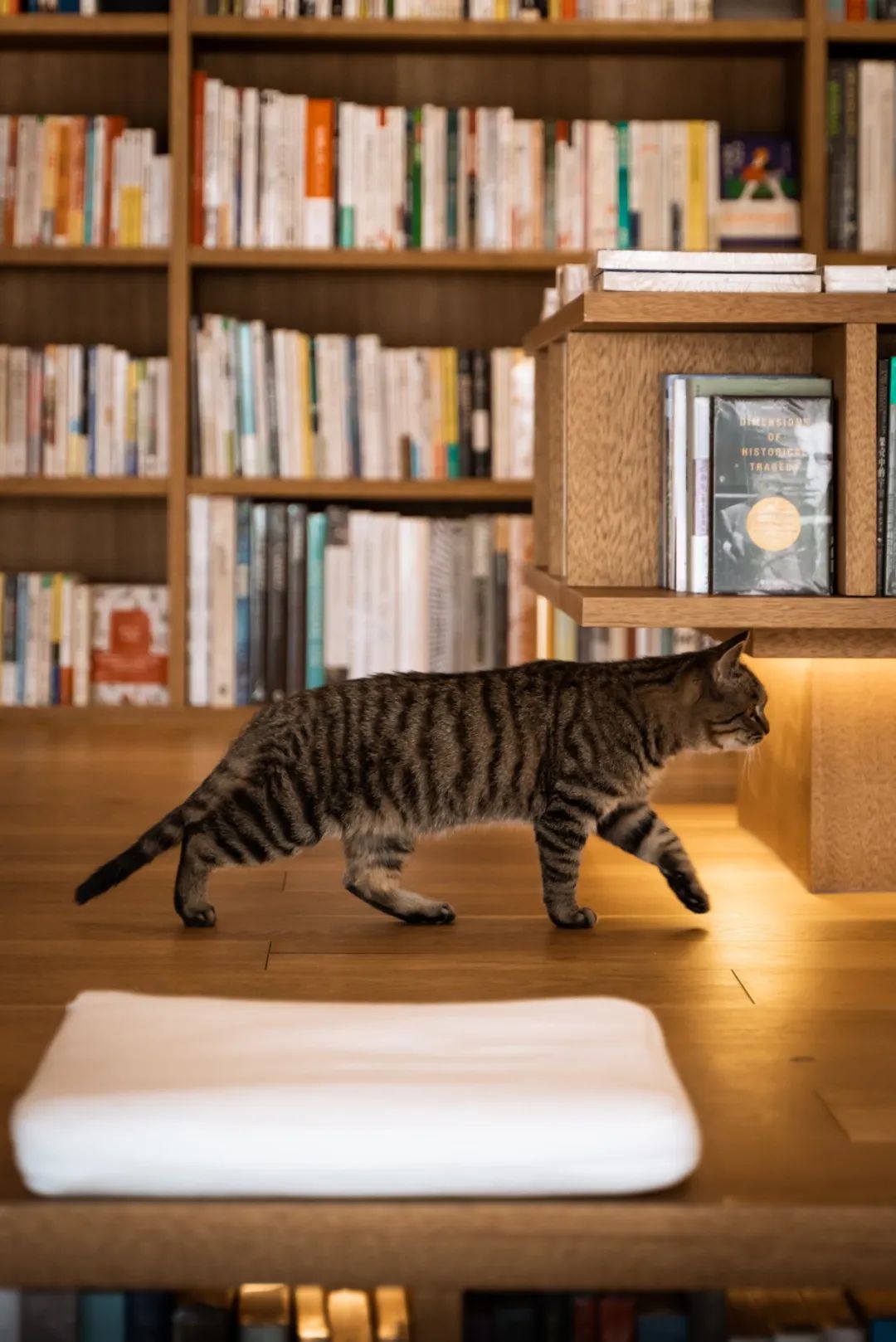 跟随邻里撰稿人，走进治愈力Max的社区空间