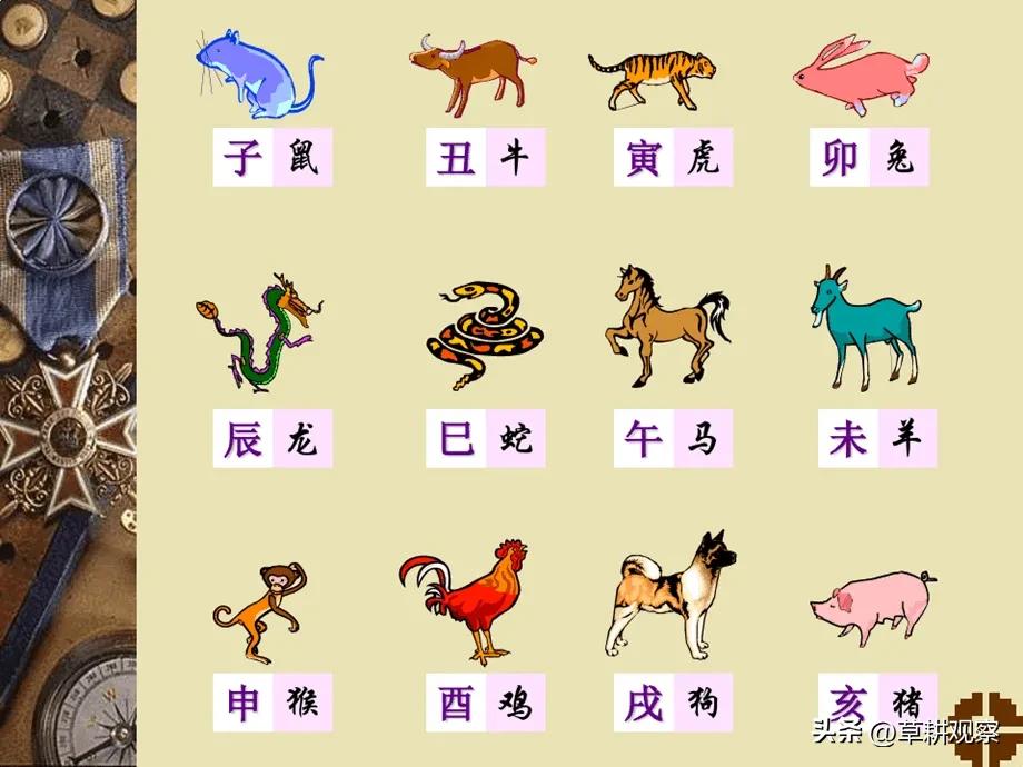 属相是怎么判断的,属相真的很准吗