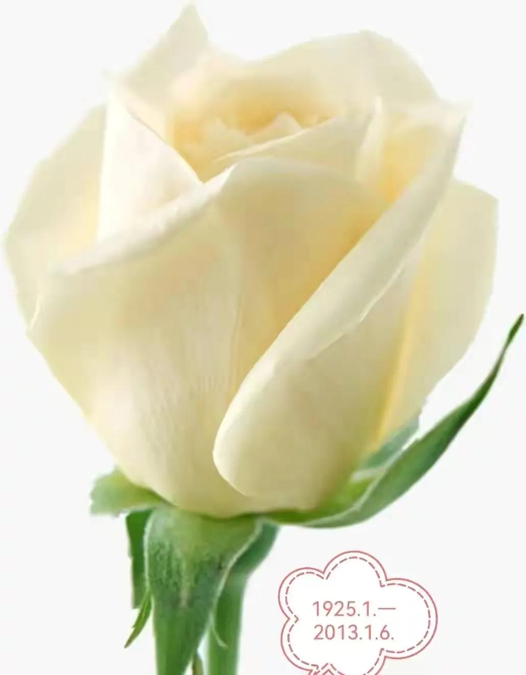 记忆中的农村老家,记忆中的老家情怀