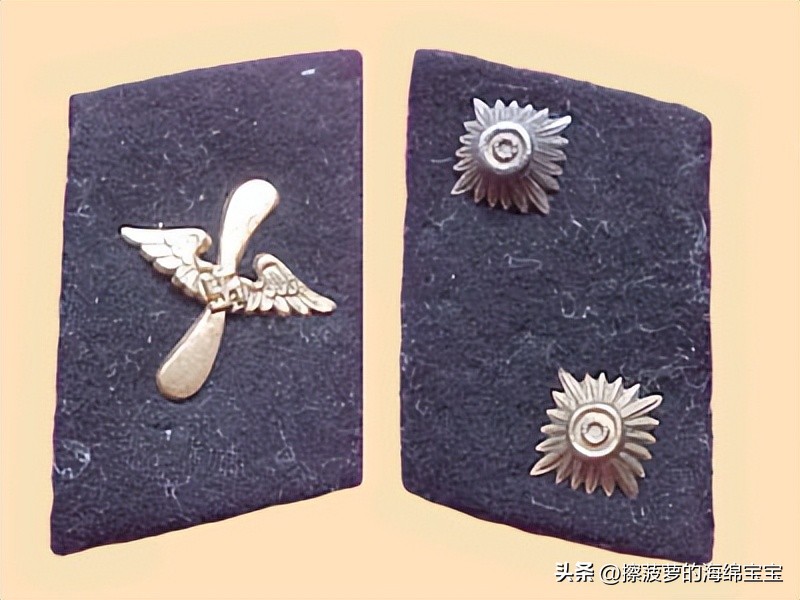 纳粹冲锋队用的什么枪,纳粹德军军衔图解