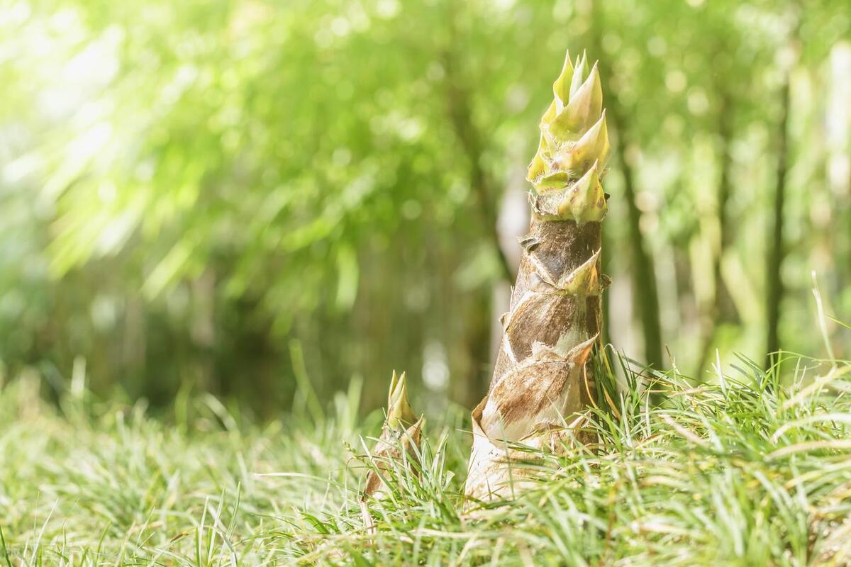 在“回首”“珍惜”“展望”中奋勇向前