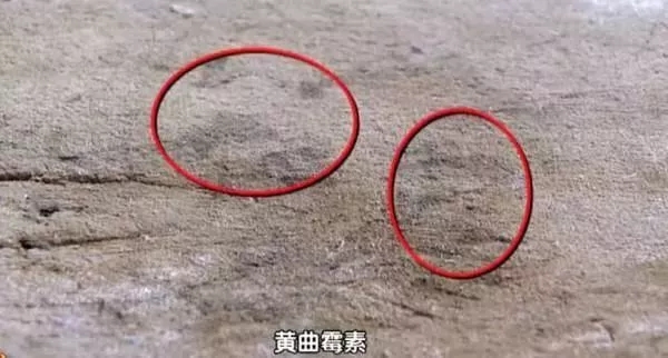 菜板发霉如何处理,菜板发霉处理方法