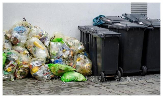 预防车辆进老鼠最有效的方法,怎么防小车里进老鼠