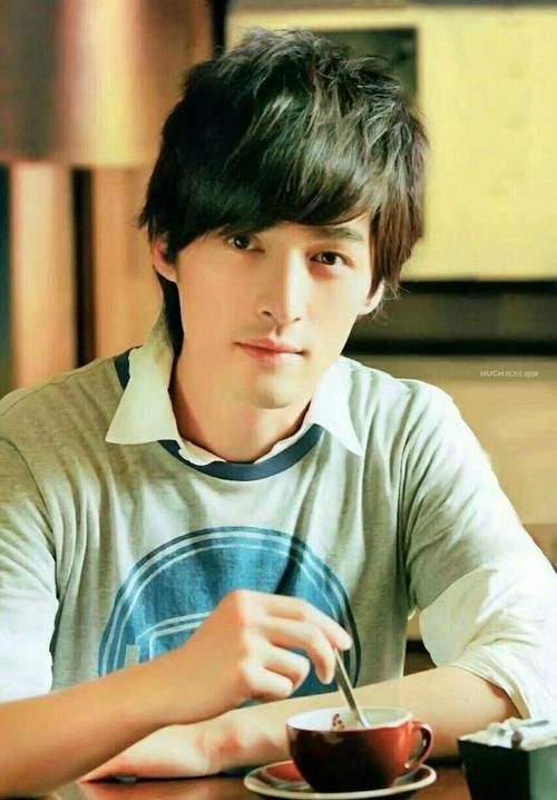 车祸后如何评价胡歌,胡歌车祸前后差别大吗