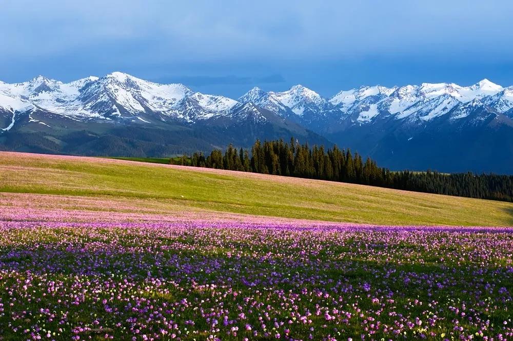 中国十大艰险户外线路,中国最佳户外线路图