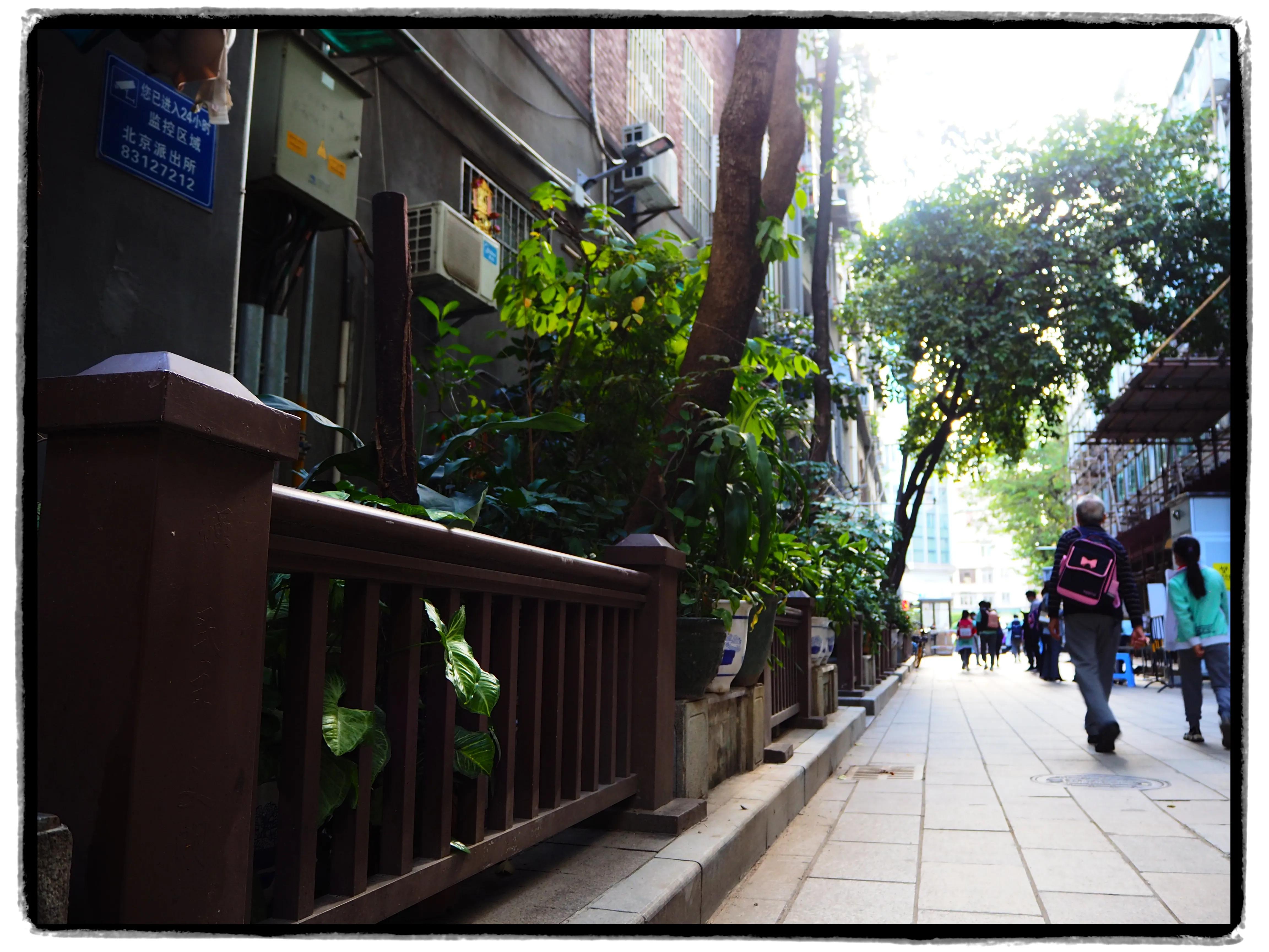 这个社区有点香｜内有小学和两间公立医院，医院能做手术、可住院