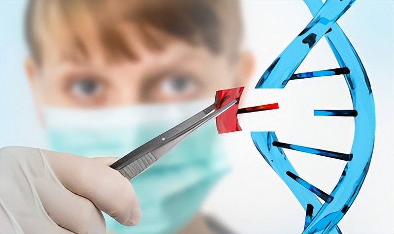 什么是基因工程菌,什么是基因工程的载体