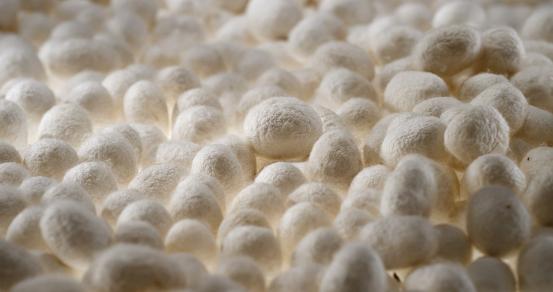 市场上最好的蚕丝被是什么牌子,十大蚕丝被品牌排行榜