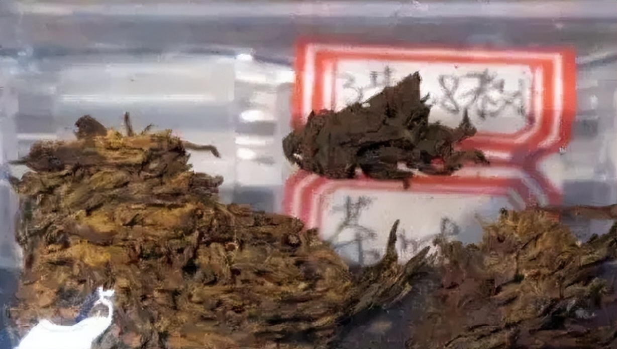 汉代人饮食特点,汉代的饮食有哪些