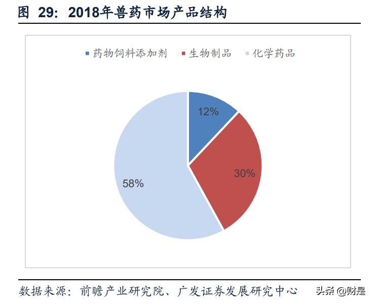 九洲药业预测目标价,九洲药业发展潜力