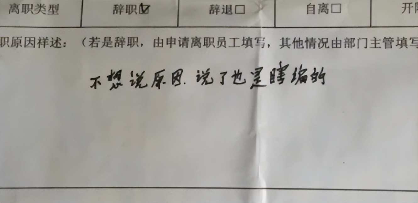 00后最硬气的辞职信,00后低情商辞职信走红