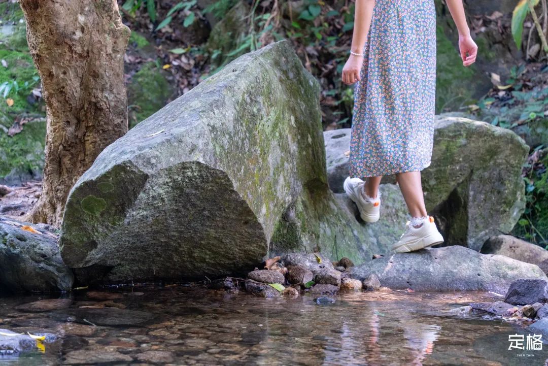 深圳罕见的避暑胜地,广东深圳避暑好去处