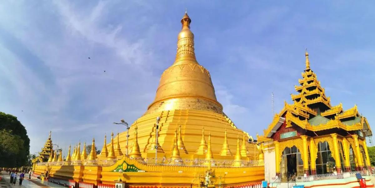 国内女子在缅北驯狗是怎样的,缅北训狗场真的会让人听话吗