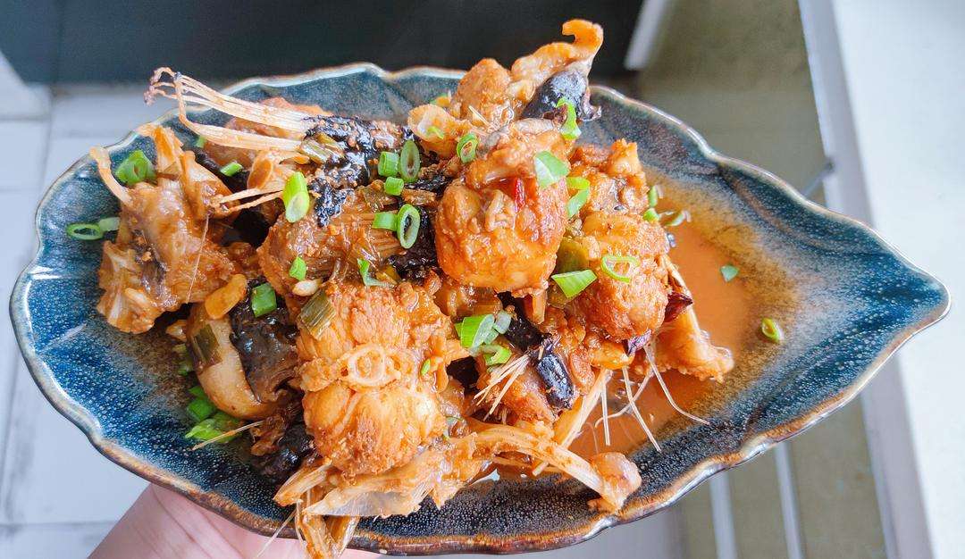 十种颜值最高的鱼,这些长相奇怪的鱼你认识几条