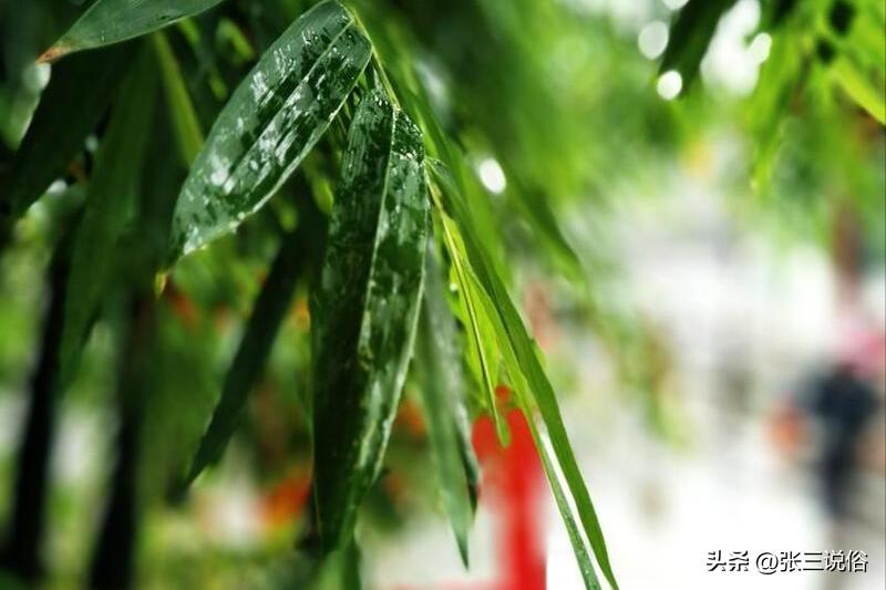 明天换甲，是“天恩破天火，有雨下不来”：啥是天恩日？有啥预兆